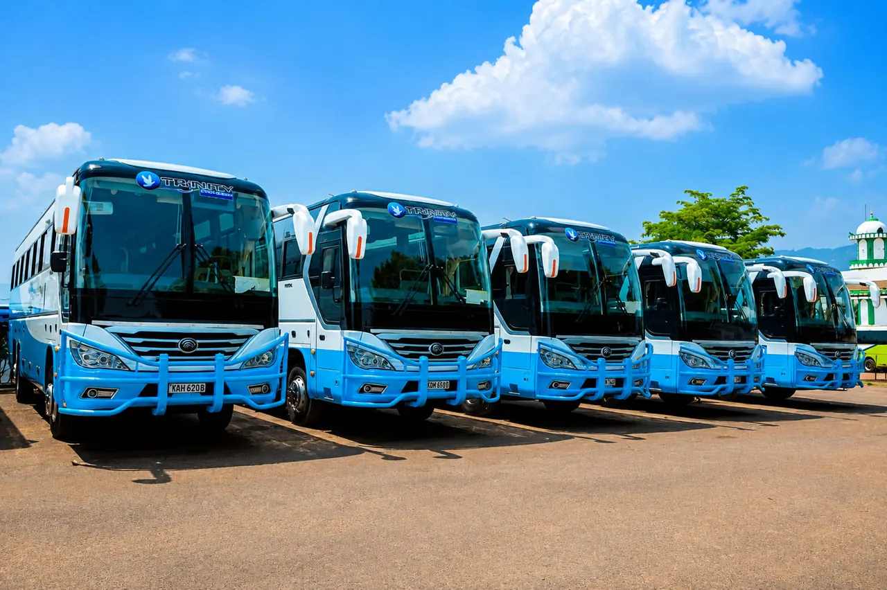 Lineup of blue and white Trinity Express coaches